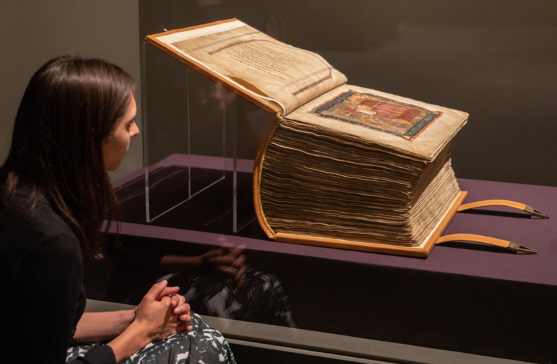 Codex codex