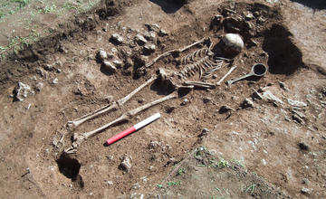 A skeleton found in an archaeological site
