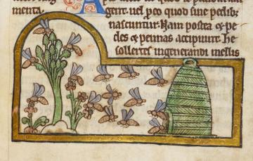 Detail of a miniature of bees collecting nectar and returning to their hive, from a bestiary with theological texts, England, c. 1200 – c. 1210,