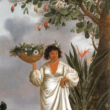 Mameluca woman under a fruiting cashew tree (1641-44) Mameluca woman under a fruiting cashew tree (1641-44)
