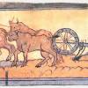 Early medieval depiction of a team of oxen pulling a mouldboard plough