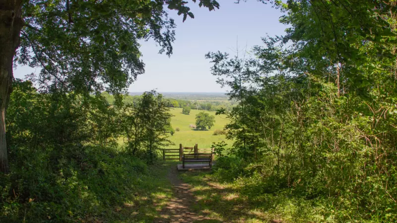 Wytham Woods