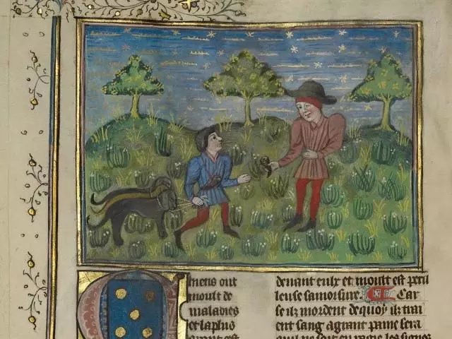 Two men and a dog in an illuminated medieval manuscript