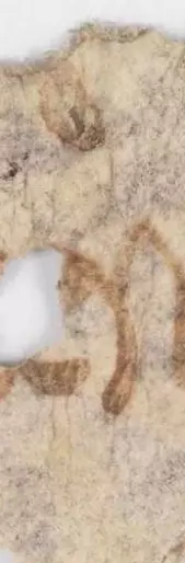 A scrap of material with writing on it
